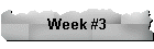 Week #3