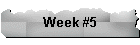 Week #5